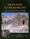 From mine to microscope : advances in the study of ancient technology /