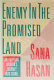 Enemy in the promised land : an Egyptian woman's journey into Israel /