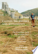 Castles, siegeworks and settlements : surveying the archaeology of the twelfth century /