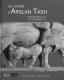 Les ivoires d'Arslan Tash : décor de mobilier syrien (IXe-VIIIe siècles av. J.-C.) /