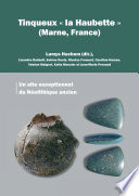 Tinqueux 'la haubette' (Marne, France) : un site exceptionnel du Néolithique ancien /