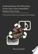Understanding lithic recycling at the late Lower Paleolithic Qesem Cave, Israel : a functional and chemical investigation of small flakes /