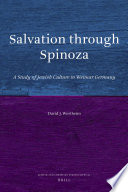Salvation through Spinoza : a study of Jewish culture in Weimar Germany /